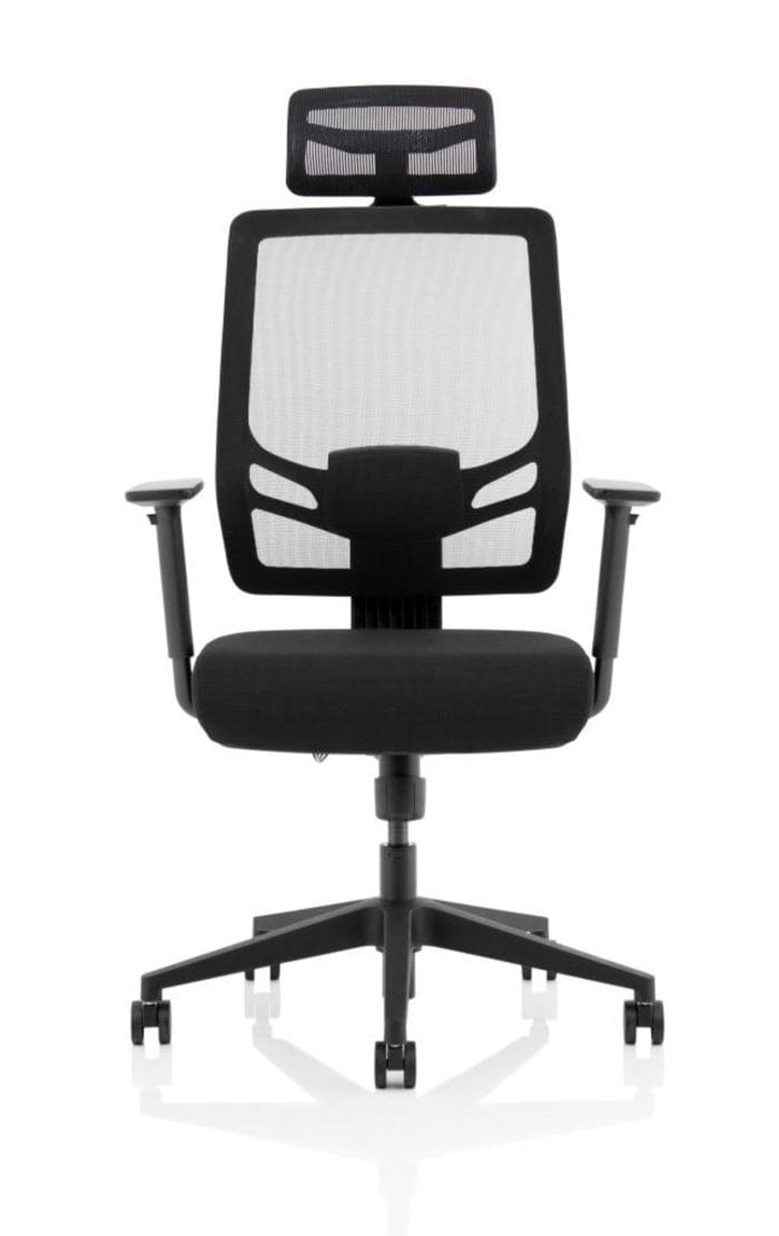 Ergo Twist Black Fabric Seat Mesh Back with Headrest