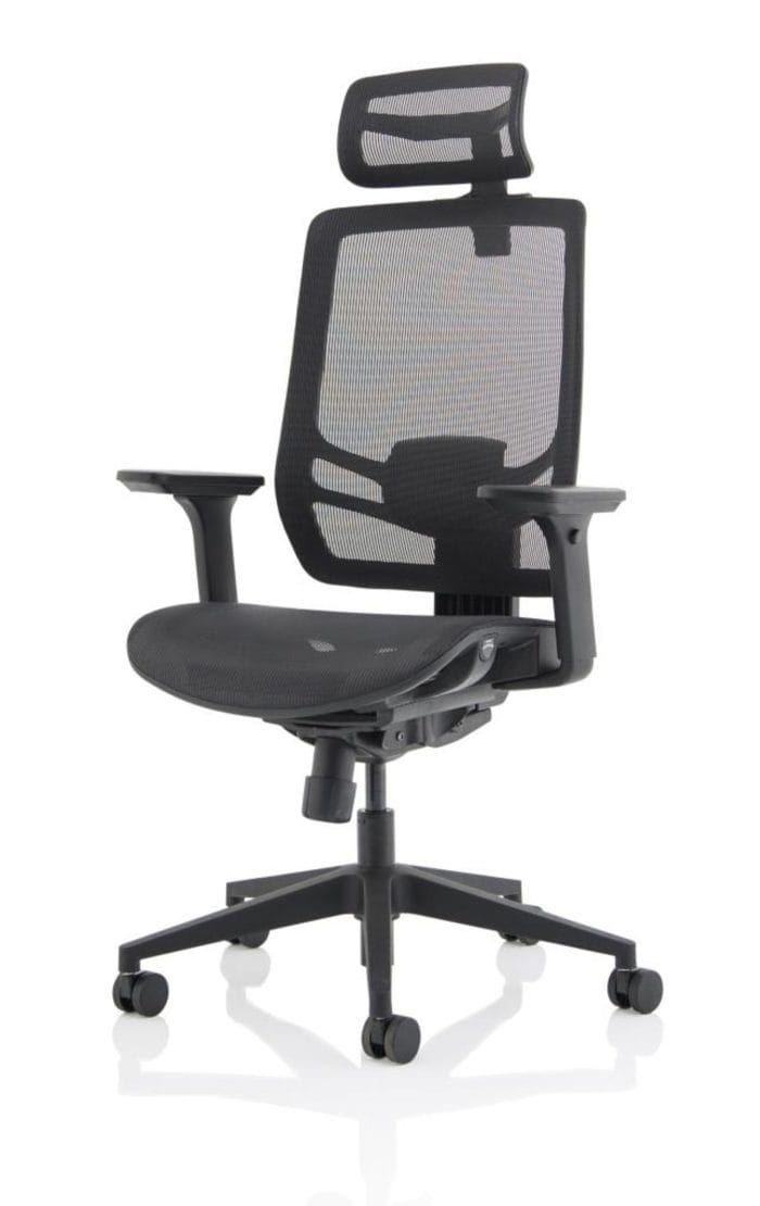 Ergo Twist Black Mesh Seat Mesh Back with Headrest