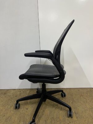 Humanscale Diffrient World chair